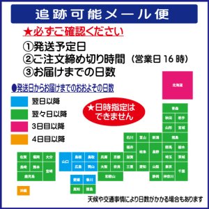 画像7: 竹刀型 剣道えんぴつ「 剣道熟語 」 不動心 守破離 平常心